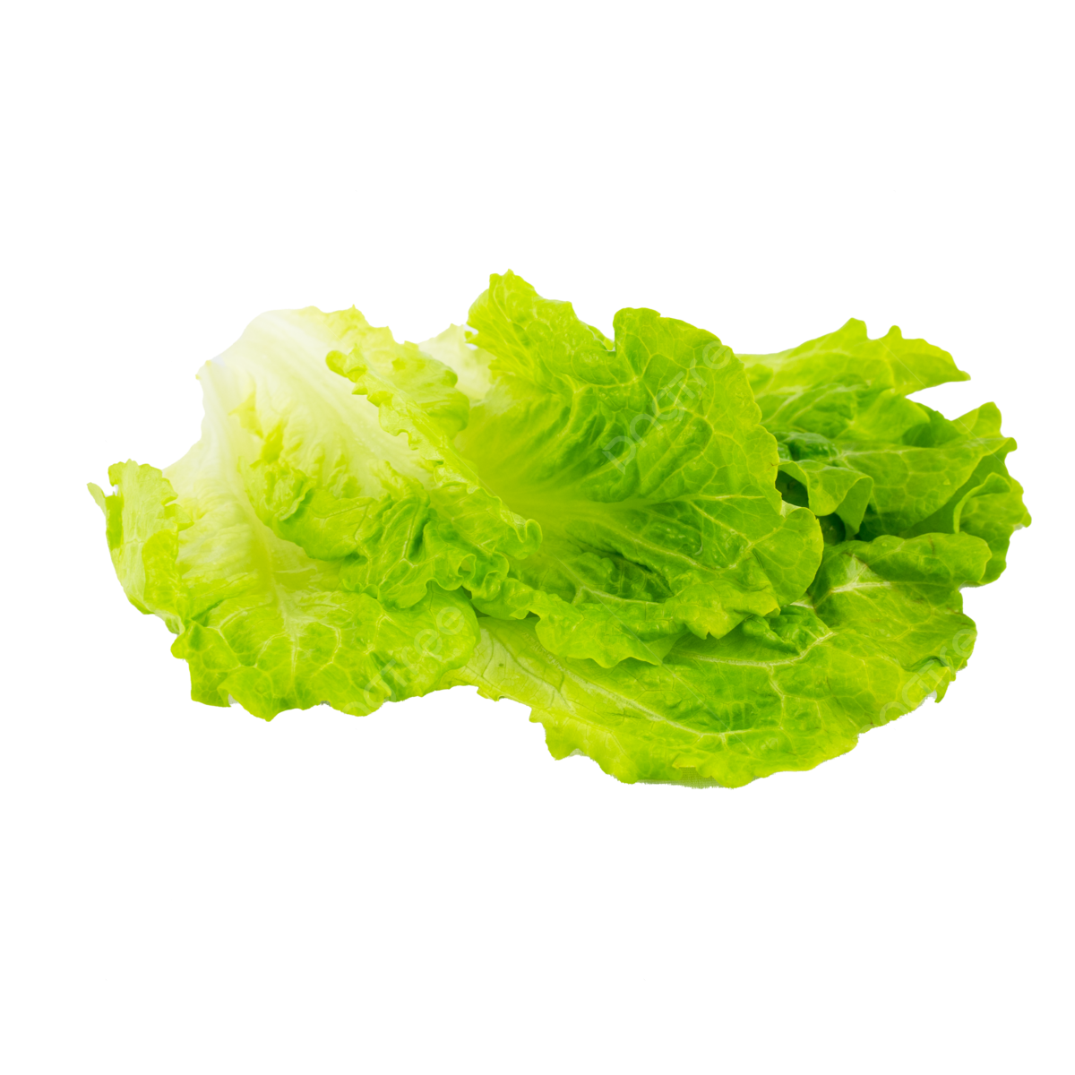 pngtree-fresh-vegetables-green-lettuce-png-image_5801313